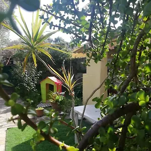  Casa vacanze Sa Domu Antiga Italia