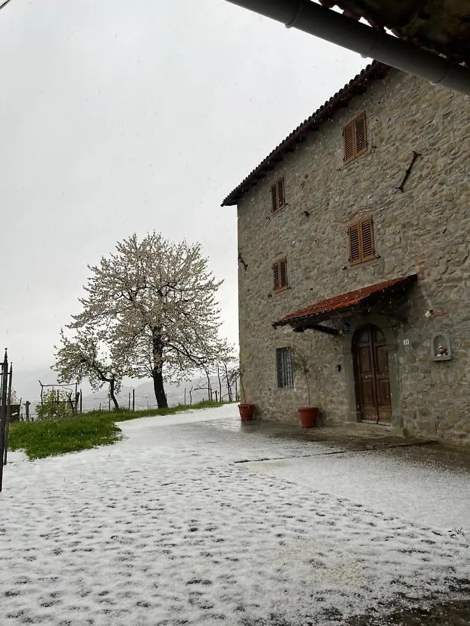 Apartmán Il Casale Di Rolando Castiglione di Garfagnana