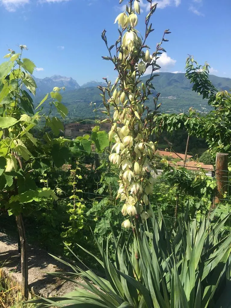 Apartmán Il Casale Di Rolando Castiglione di Garfagnana